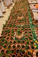 Shashtyabdapurti Utsava - Karla - Day 6 (14 Nov 2024)
